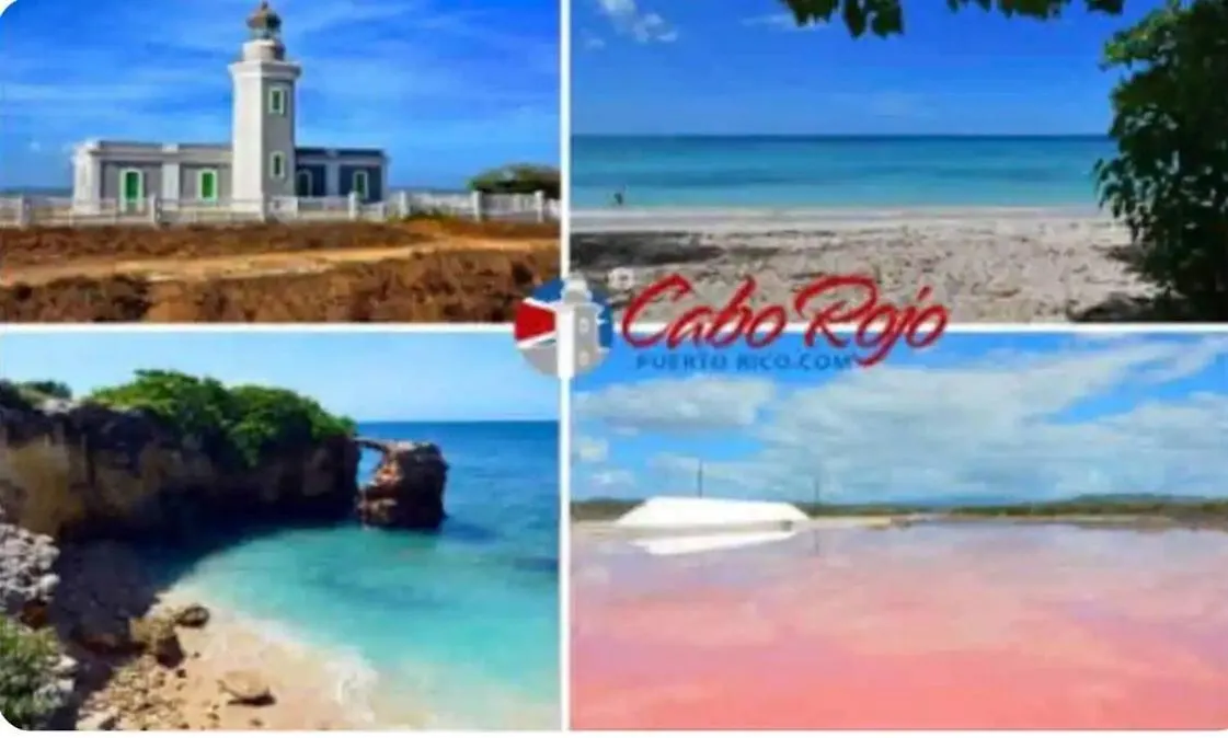 Lägenhet Close To Combate Beach, El Poblado And Restaurants Pole Ojea Puerto Rico